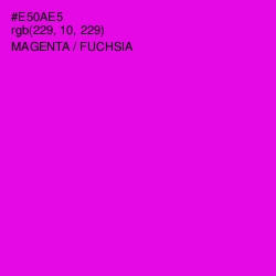 #E50AE5 - Magenta / Fuchsia Color Image